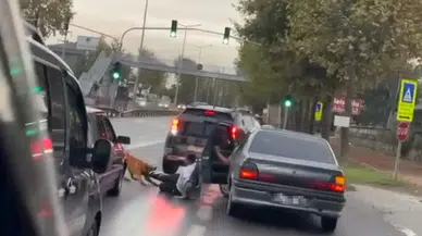 Zinciri kopan köpek vatandaşa saldırdı