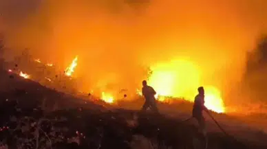 Siirt’te otluk alanda yangın çıktı