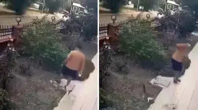 İzmir’de yavrularının yanındaki kediye tekme attı : 13 bin TL ceza kesildi