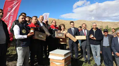 Iğdır'da kayısı çiçeği balı hasadı başladı