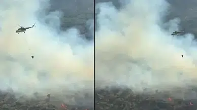 Aydın Çine'de orman yangını : Havadan ve karadan müdahale başlatıldı