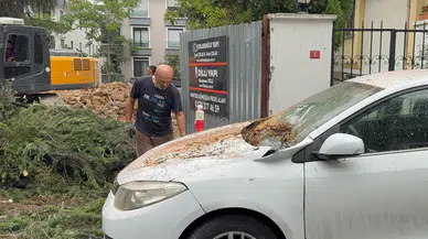 Maltepe'de kesilen ağaç park halindeki iki aracın üzerine devrildi