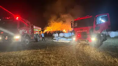 Karabük'te 3 bin balya ot yanarak küle döndü