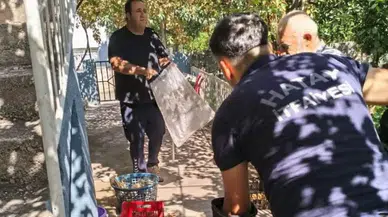 İskenderun'da eve giren yılan itfaiye ekiplerince yakalandı