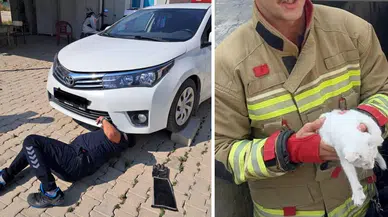 Hatay'da araç motoruna giren 2 kedi itfaiye ekiplerince kurtarıldı