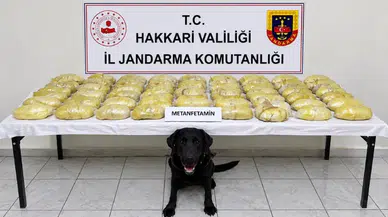 Hakkari'de yabancı plakalı tırda 21 kilo 700 gram metamfetamin ele geçirildi