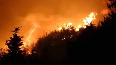 Bolu Gerede'de orman yangını : Alevlere havadan ve karadan müdahale ediliyor