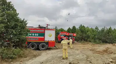 Arnavutköy'de ormanlık alanda yangın