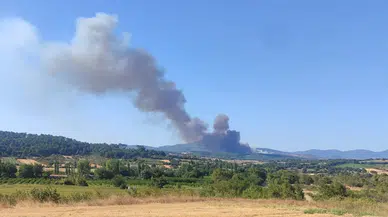 Çanakkale'de orman yangını kontrol altına alındı