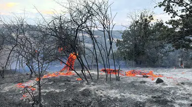 Kırklareli’nde tarım arazisinde çıkan yangın 5 saatte söndürüldü