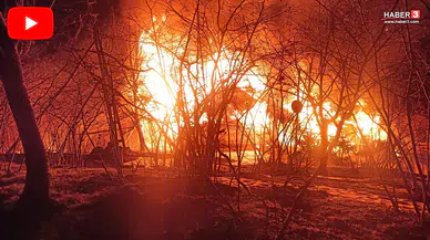 Ordu'da ev yandı, birkaç metre ötesinde bir kişi ağaca asılı bulundu