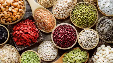 Hayvansal Protein mi, Bitkisel Protein mi? Hangi Seçenek Sağlığınızı Daha Çok Destekliyor?