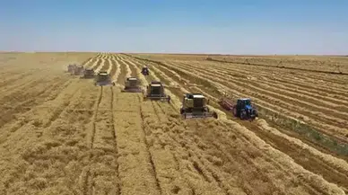 Yem sanayicilerinden fiyat istikrarı kararı: Neden değişiklik olmayacak?