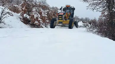 Bitlis'te kış koşullarıyla mücadele için ekipler seferber oldu mu?
