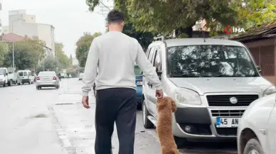 Manisa Akhisar'da Köpeğini Yürütme Şekli Sosyal Medyada Tepki Topladı