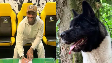 Eski Yıldız Jermaine Pennant Köpek Saldırısına Uğradı