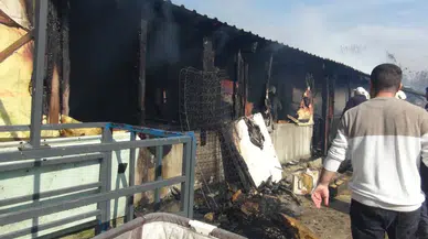 Bir Ahırda Çıkan Yangın Sonucu Çok Sayıda Hayvan Telef Oldu
