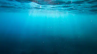 Dünyanın en ıssız noktası: Nokta Nemo’nun okyanusun ortasındaki gizemli dünyası