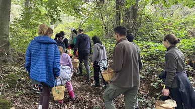 Belgrad Ormanı'nda Mantar Avı Sezonu Açıldı