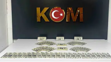 Bodrum'da Sahte Dolar Operasyonu: Bir Kişi Tutuklandı