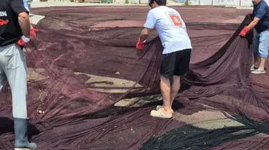 Marmara'da 800 Kilogram Hayalet Ağ Güneş Gözlüğüne Dönüşüyor