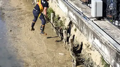 Yalova'da Balçıkla Kaplı Dere Yatağında Mahsur Kalan Kediler Nasıl Kurtarıldı ?