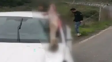İstanbul'da Korkunç Kaza: Atın Bacağı Otomobilin Camına Saplandı