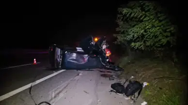 Anadolu Otoyolu'nda kaza yapan aracına bakarken canından oldu