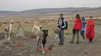 İtalyan Uzmanlar Eskişehir'de Türk Çoban Köpeklerine Hayran Kaldı