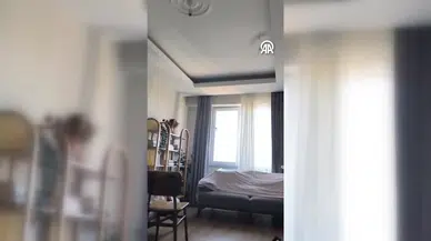 Tokat'ın Niksar İlçesinde Bir Eve Giren 16 Yarasa Tahliye Edildi