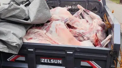 Batman'da kaçak kesim denetimi : 52 bin 801 lira ceza uygulandı !