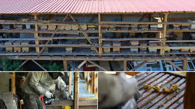 Ilgaz Dağı'nın zirvesinde arıları için köyünü terk etmiyor