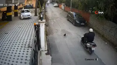 Osmaniye'de Motosikletin Çarptığı Kedi Öldü