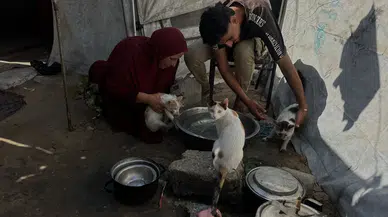 Gazze'deki Çadır Kentte Sokak Hayvanlarına Umut Oluyor