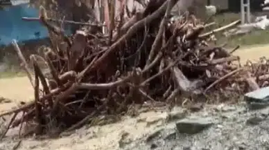 Türkiye ve Rusya Arasında Hava Ulaşımını Geliştirme Temasları