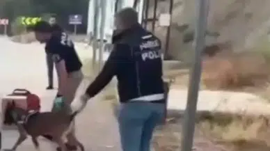 Sinop'ta uyuşturucu operasyonu
