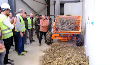 Kahramanmaraş'ta 450 Hektarlık Alanda Defne Seferberliği Başladı