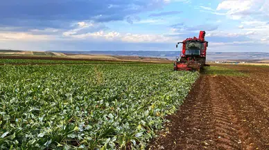 2027 Tarımsal Üretim Dönemi Biyolojik ve Biyoteknik Mücadele Destekleri Netleşti