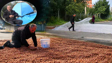 Ordu'da Üreticiler Çadırlarda Fındık Nöbeti Tutuyor