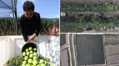 Genç Girişimci Ata Topraklarında Elma İhracat Rekoruna Koşuyor