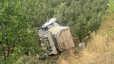 Isparta'da kum yüklü tır elma bahçesine devrildi : Sürücü hayatını kaybetti
