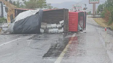 Adıyaman'da Arı Yüklü Kamyon Devrildi: İki Yaralı
