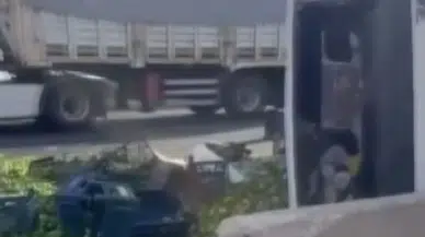Gaziantep TAG Otoyolu'nda kamyon devrildi: Tonlarca mandalina yola saçıldı