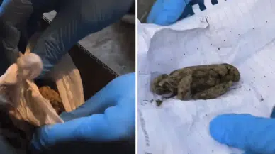 Bingöl'de uyuşturucu operasyonu : 76,12 gram skunk ele geçirildi