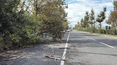 Tekirdağ'da Kuvvetli Fırtına Hayatı Olumsuz Etkiledi