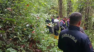 Sakarya'nın Sapanca İlçesinde Ormanlık Alanda Kaybolan Kişinin Cansız Bedeni Bulundu