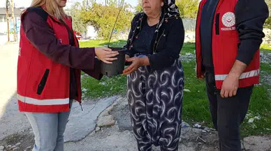 Besni'de Yaşlı Vatandaşlara 'Çınarlara Nefes Ol' Fidan Dağıtımı