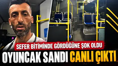 Antalya'da Halk Otobüsünde Unutulan Köpek Sahibini Şaşırttı