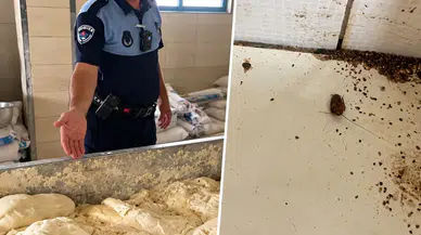 Hatay'da Fırın Denetiminde Şoke Eden Görüntüler
