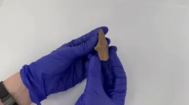 Troya Antik Kenti'nde 2 Bin 800 Yıllık Kemik Flüt Bulundu